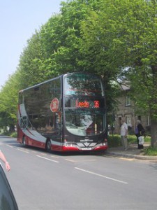 024 The Dreaded No. 36 Bus