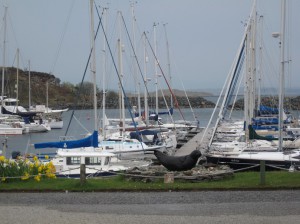 IMG_3644