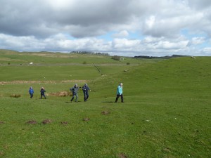 D5300 resize10. The first uphill climb on Hadrian's Wall Circular