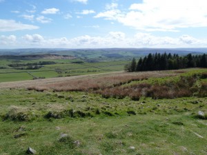 D5300 resize15. Overlooking Vindolanda in the distance from the Wall
