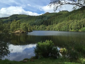 thumb_IMG_0080_1024