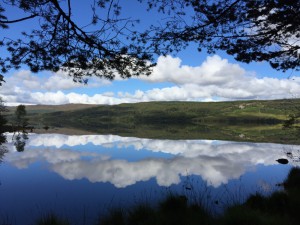 thumb_IMG_0088_1024