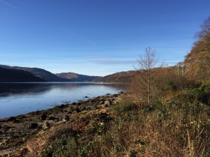 thumb_IMG_0145_1024