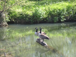 thumb_IMG_4866_1024