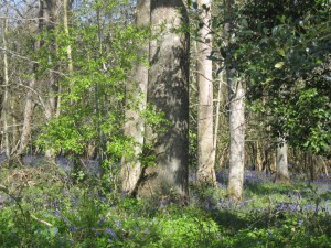 thumb_IMG_4867_1024