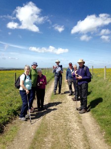thumb_South Downs Way 5_1024